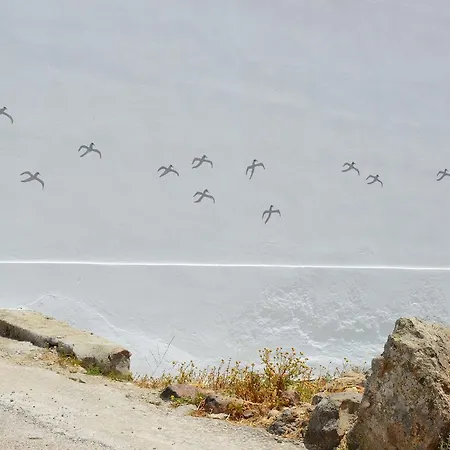 Seagull Maisonette *